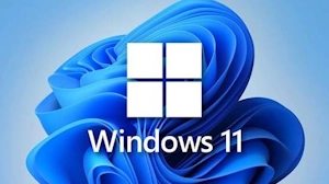 Windows 11